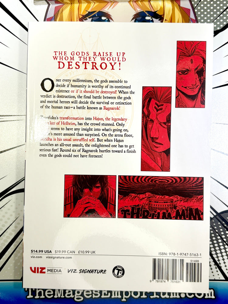 Record of Ragnarok Vol 13 BRAND NEW RELEASE (Online Order Only)