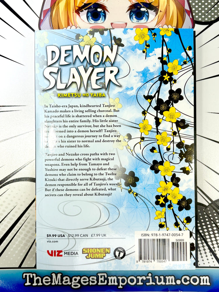 Demon Slayer Vol 3 (Online Order Only)