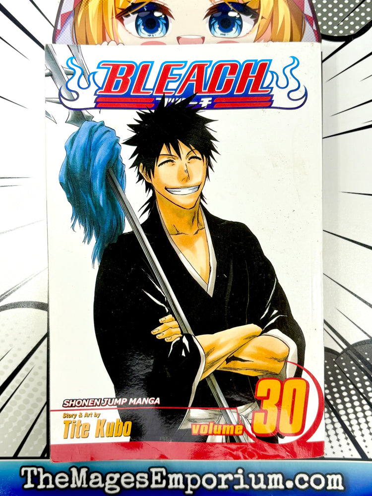 Bleach Vol 30 (Online Order Only)