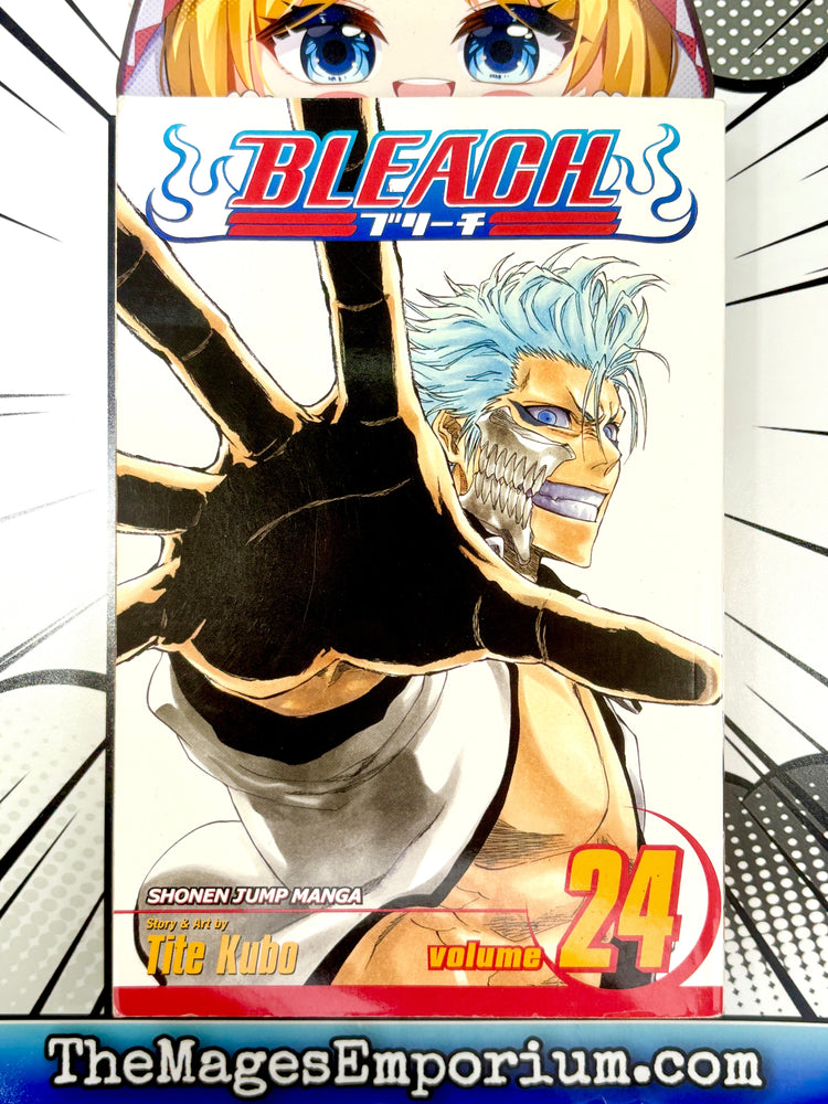 Bleach Vol 24 (Online Order Only)