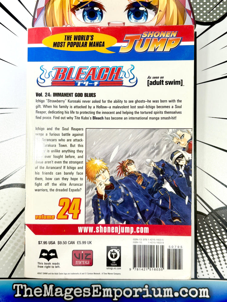 Bleach Vol 24 (Online Order Only)