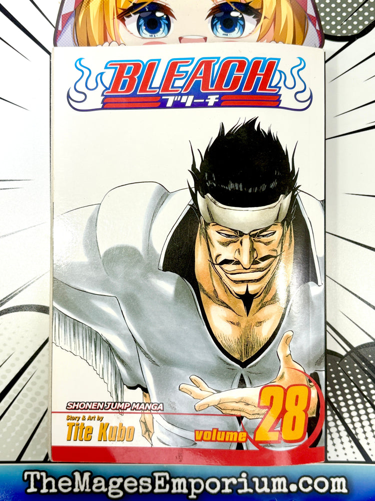 Bleach Vol 28 (Online Order Only)