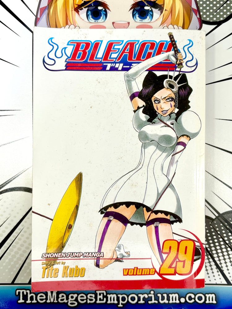 Bleach Vol 29 (Online Order Only)