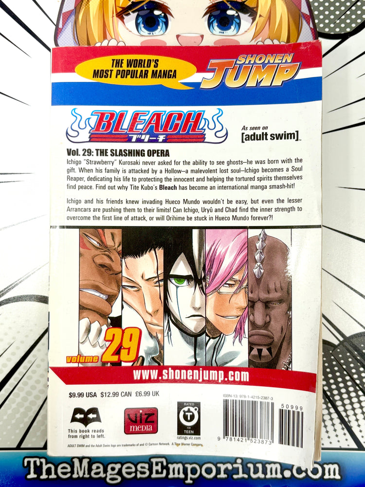 Bleach Vol 29 (Online Order Only)