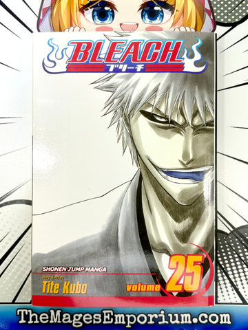 Bleach Vol 25 (Online Order Only)