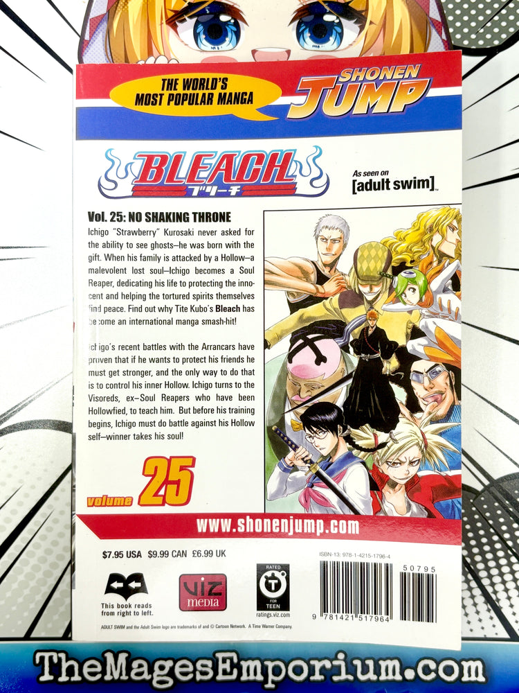 Bleach Vol 25 (Online Order Only)