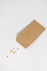 Giant Sequoia Seeds (ONLINE ORDER ONLY)