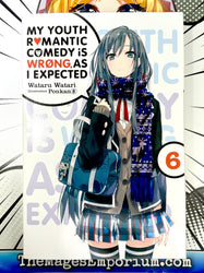 My Youth Romantic Comedy Is Wrong, As I Expected Vol 6 Light Novel (Online Order Only)