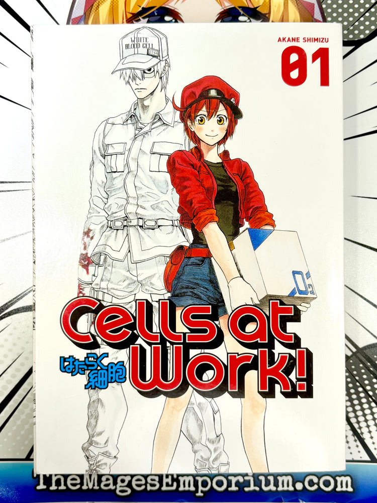 Cells at Work Vol 1 (Online Order Only)