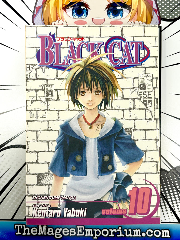 Black Cat Vol 10 (Online Order Only)