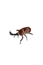 Japanese Rhinoceros Beetle Enamel Pin (Trypoxylus dichotomus) (ONLINE ORDER ONLY)