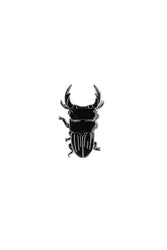 Japanese Stag Beetle Enamel Pin (Dorcus hopei binodulosus) (ONLINE ORDER ONLY)