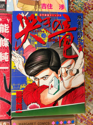 Non English Language Manga and Light Novels (Online Order Only)