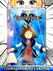 Kingdom Hearts Vol 1 Ex Library (Online Order Only)