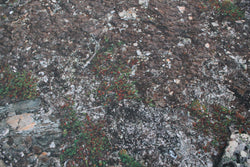 Muddy Battlefield - Neoprene Battle Mat with Bag (Online Order Only)