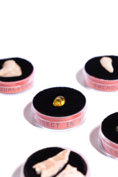 Fossil Blind Bag