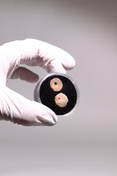 Stone Age Beads from the Sahara Desert (ONLINE ORDER ONLY)