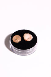 Stone Age Beads from the Sahara Desert (ONLINE ORDER ONLY)