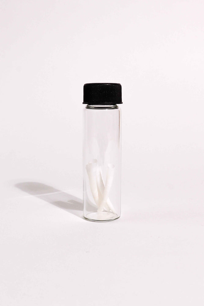 Tusk Shells (Dentalium Mollusk Shells) (ONLINE ORDER ONLY)