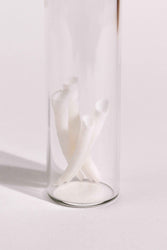 Tusk Shells (Dentalium Mollusk Shells) (ONLINE ORDER ONLY)