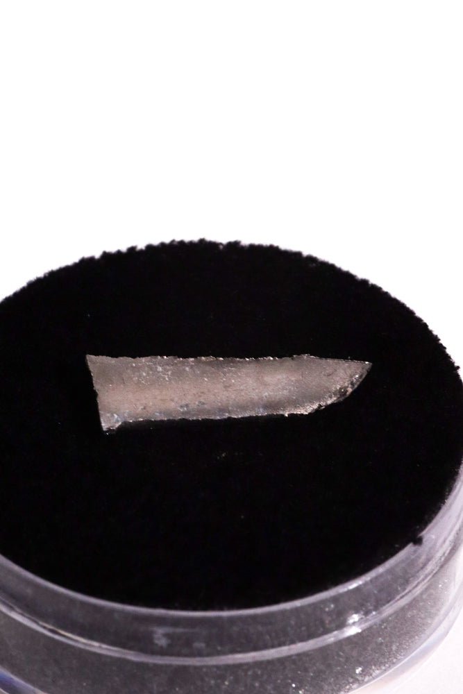 SR-71 Blackbird | Authentic Titanium Skin Fragment