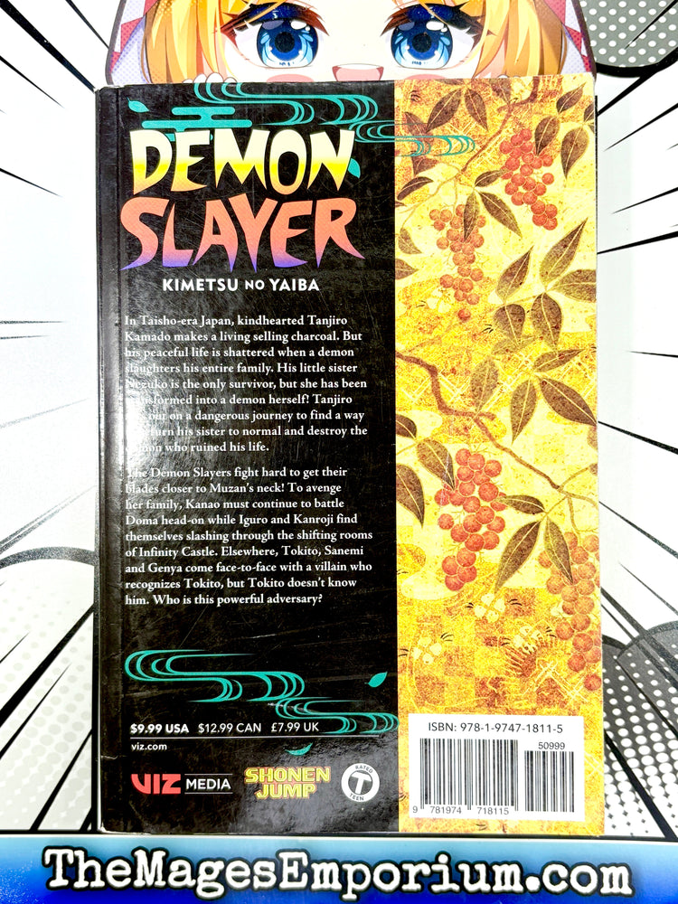 Demon Slayer Vol 19 (Online Order Only)