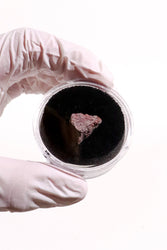 Suevite Impactite Fragment – Rochechouart Meteorite Impact Rock