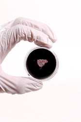 Suevite Impactite Fragment – Rochechouart Meteorite Impact Rock