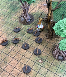 RPG Grid Mat - Snowy Tundra & Traveler's Road - Double Sided Neoprene Mat with Bag (ONLINE ORDER ONLY)