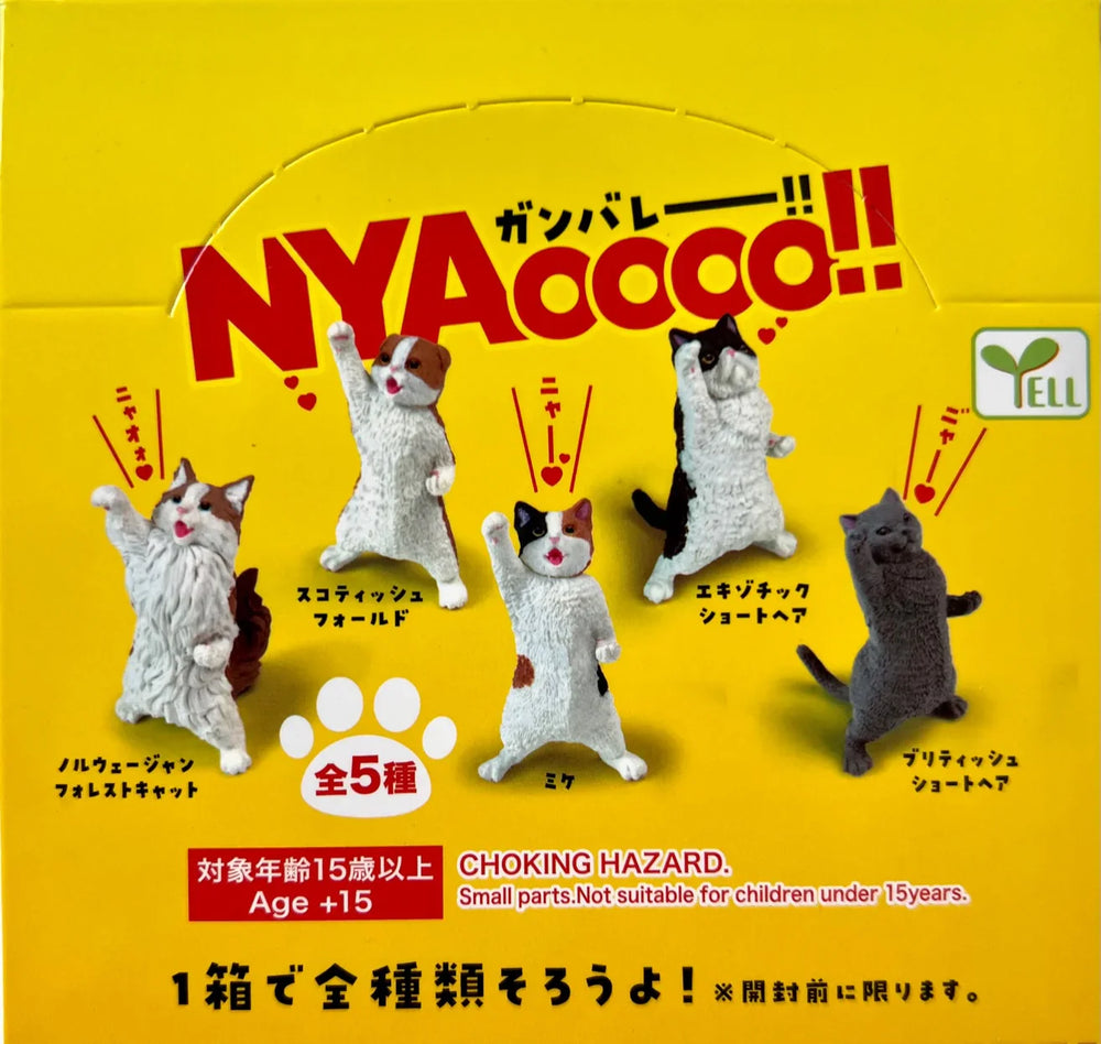 NYAOOO! POWER CATS BLIND BOX (1 Blind Box) (ONLINE ORDER ONLY)