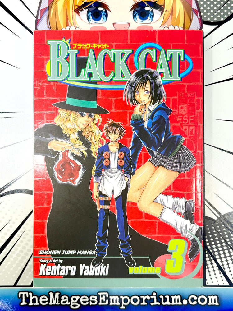 Black Cat Vol 3 (Online Order Only)