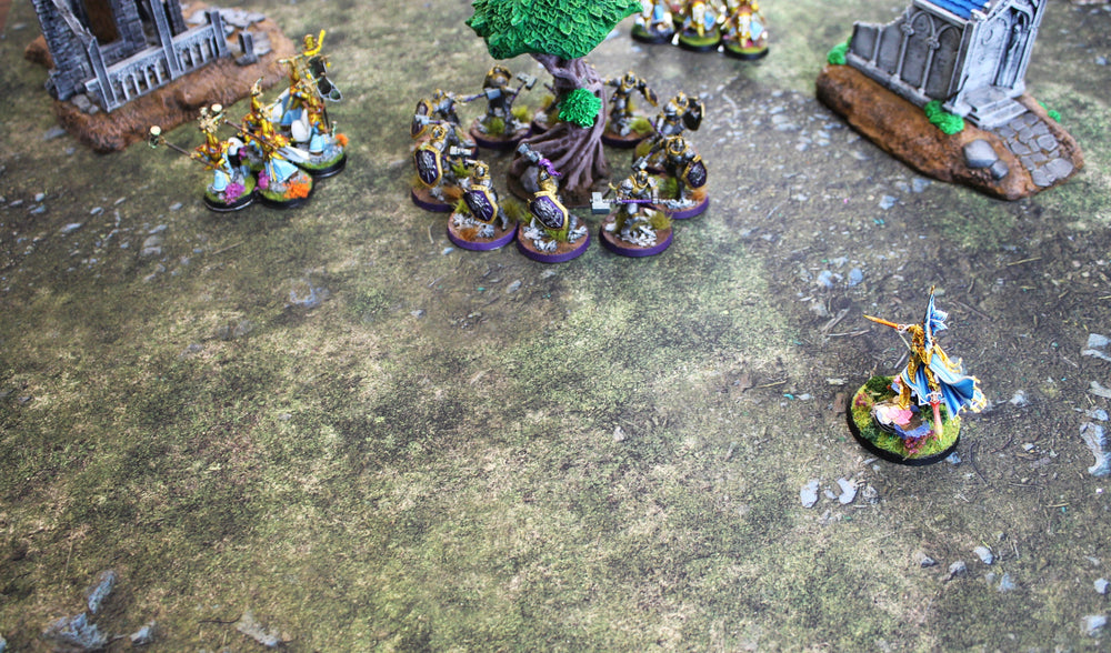 Field of Battle - Neoprene Battle Mat with Bag (ONLINE ORDER ONLY)