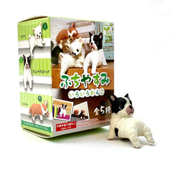 PLAYFUL HANGING DOGS BLIND BOX (1 Blind Box) (ONLINE ORDER ONLY)