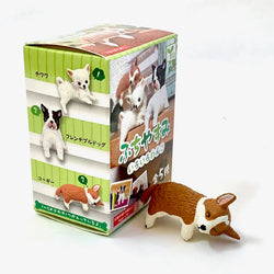 PLAYFUL HANGING DOGS BLIND BOX (1 Blind Box) (ONLINE ORDER ONLY)