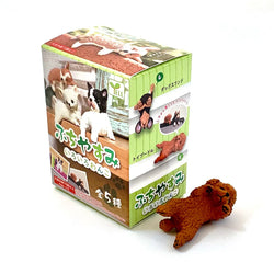 PLAYFUL HANGING DOGS BLIND BOX (1 Blind Box) (ONLINE ORDER ONLY)