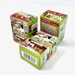 PLAYFUL HANGING DOGS BLIND BOX (1 Blind Box) (ONLINE ORDER ONLY)
