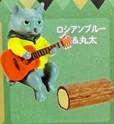Cat's Day Off - Campfire Part - Blind Box (1 Blind Box) (ONLINE ORDER ONLY)