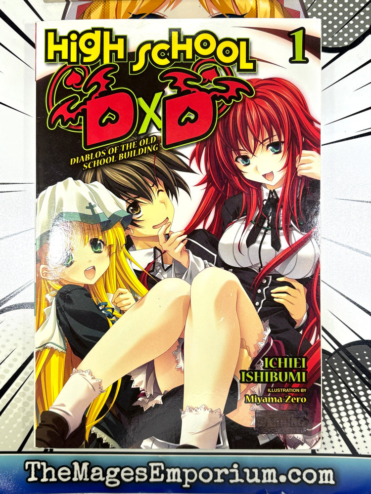 High School DxD Vol 1 Light Novel (ONLINE ORDER ONLY)