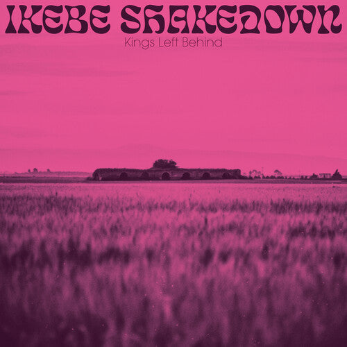 Kings Left Behind [Vinyl]