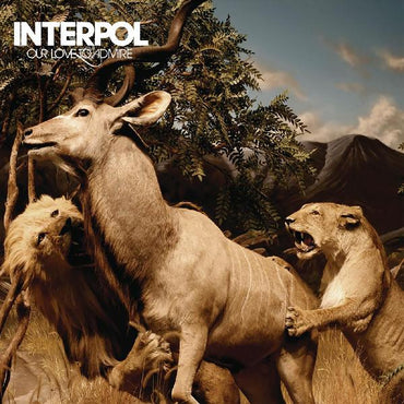 Interpol - Our Love To Admire (Vinyl) [Vinyl] (ONLINE ORDER ONLY)