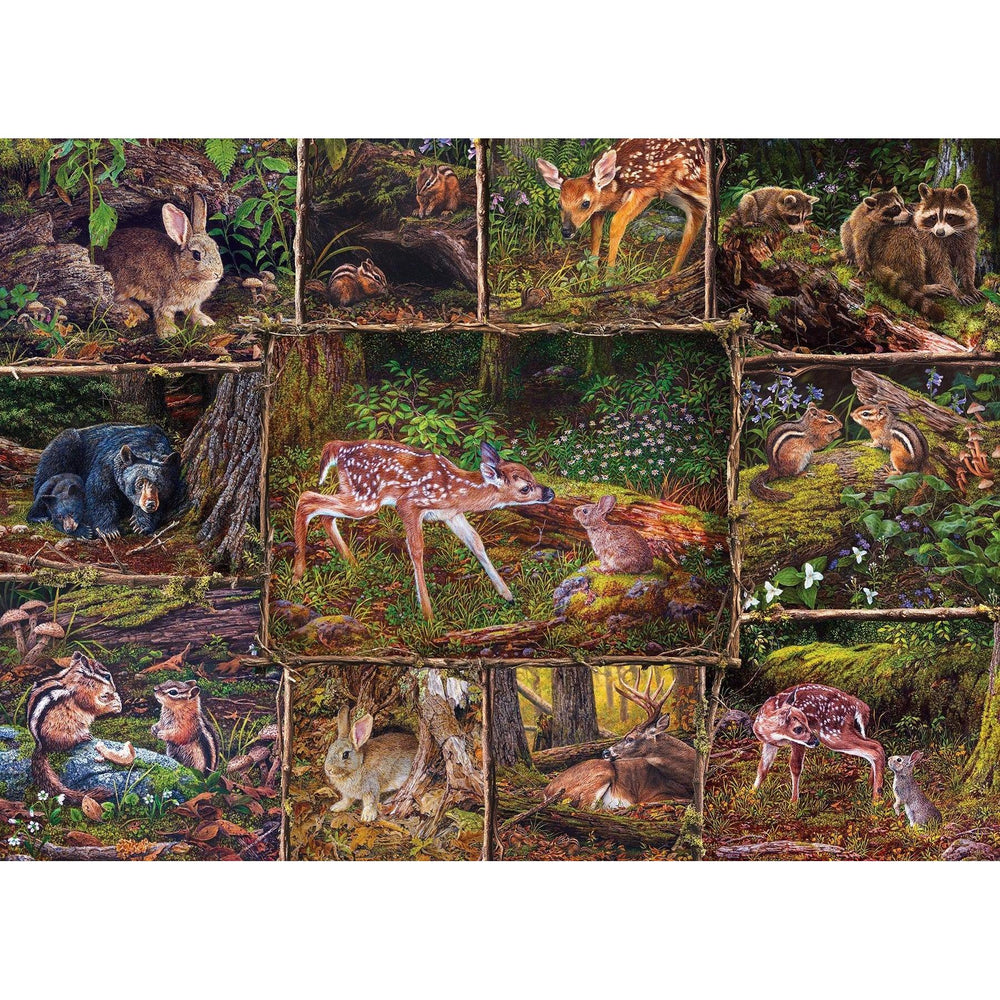 Into the Woods 350 Piece Family Jigsaw Puzzle Cobble (ONLINE ORDER ONLY)