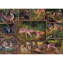 Into the Woods 350 Piece Family Jigsaw Puzzle Cobble (ONLINE ORDER ONLY)