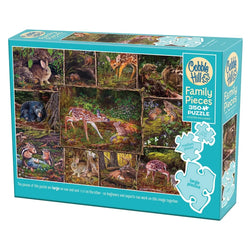 Into the Woods 350 Piece Family Jigsaw Puzzle Cobble (ONLINE ORDER ONLY)