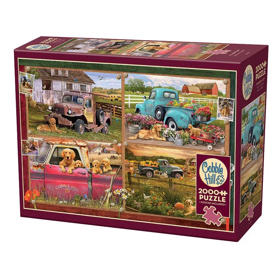 It's a Dog's Life 2000 Piece Jigsaw Puzzle Cobble Hill (ONLINE ORDER ONLY)