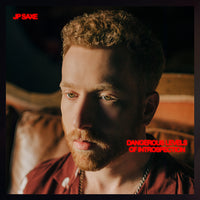 DANGEROUS LEVELS OF INTROSPECTION [Vinyl]