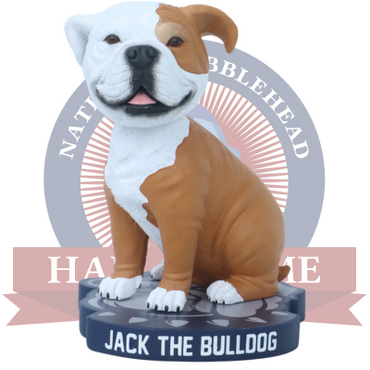 Jack the Bulldog Georgetown Hoyas Live Bulldog 2024 Bobblehead (ONLINE ORDER ONLY)