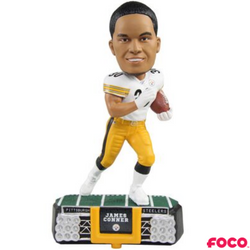 NFL Stadium Lights Bobbleheads (ONLINE ORDER ONLY)
