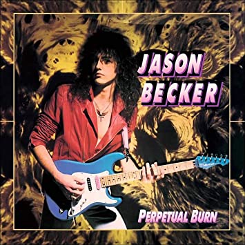 Perpetual Burn (Black Vinyl) [Vinyl]