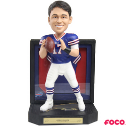 Framed Jersey Bobbleheads (ONLINE ORDER ONLY)