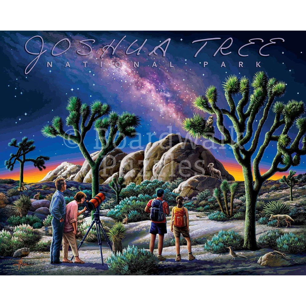 Joshua Tree National Park 500 Piece Jigsaw Puzzle Boardwalk (ONLINE ORDER ONLY)